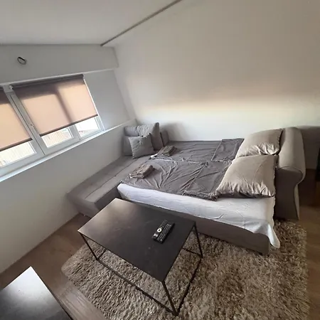Double S Modern Apartman *
