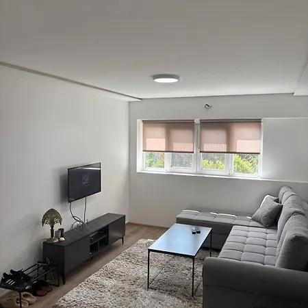 Double S Modern